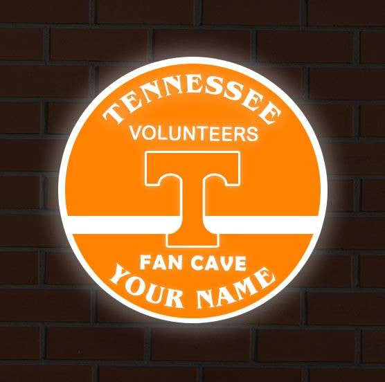 TNV PREMIUM LED LIGHT WALL DECOR